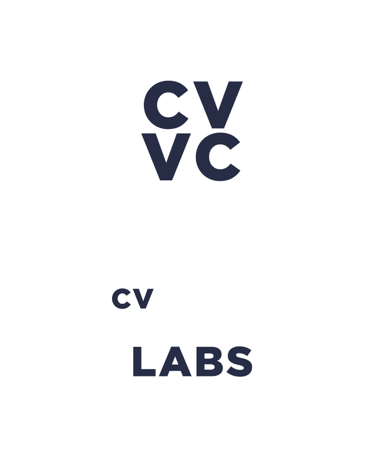 Cv Vc Cv Labs For Cv Summit Website